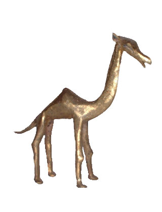 Dromedar.jpg (13268 Byte)